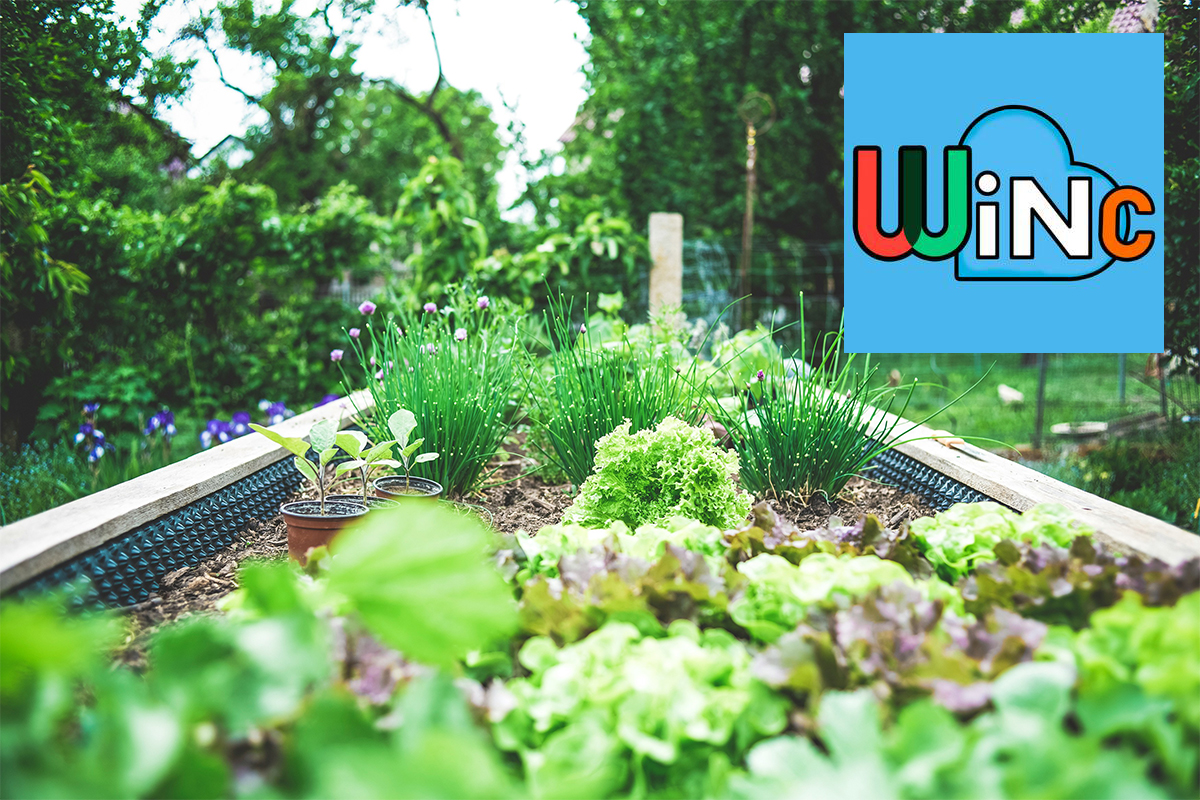 Food Forest Connection